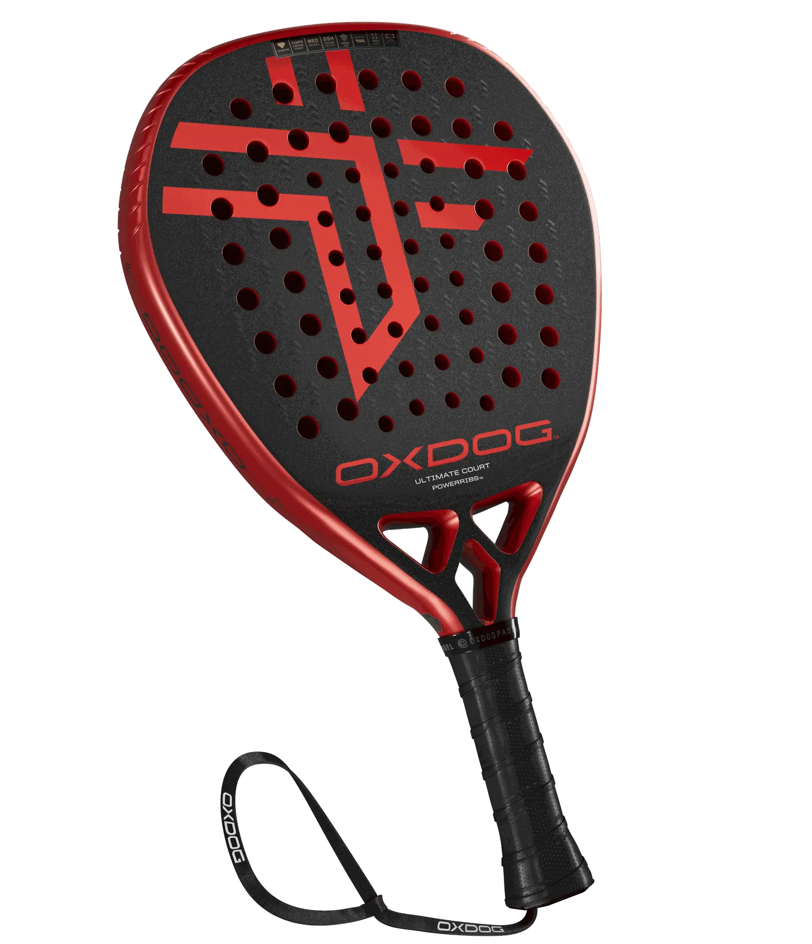 Ultimate Court 1.webp