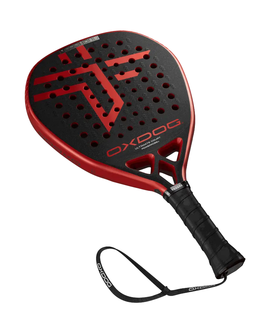 Ultimate Court 3.webp