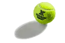 Padel ball 2.webp