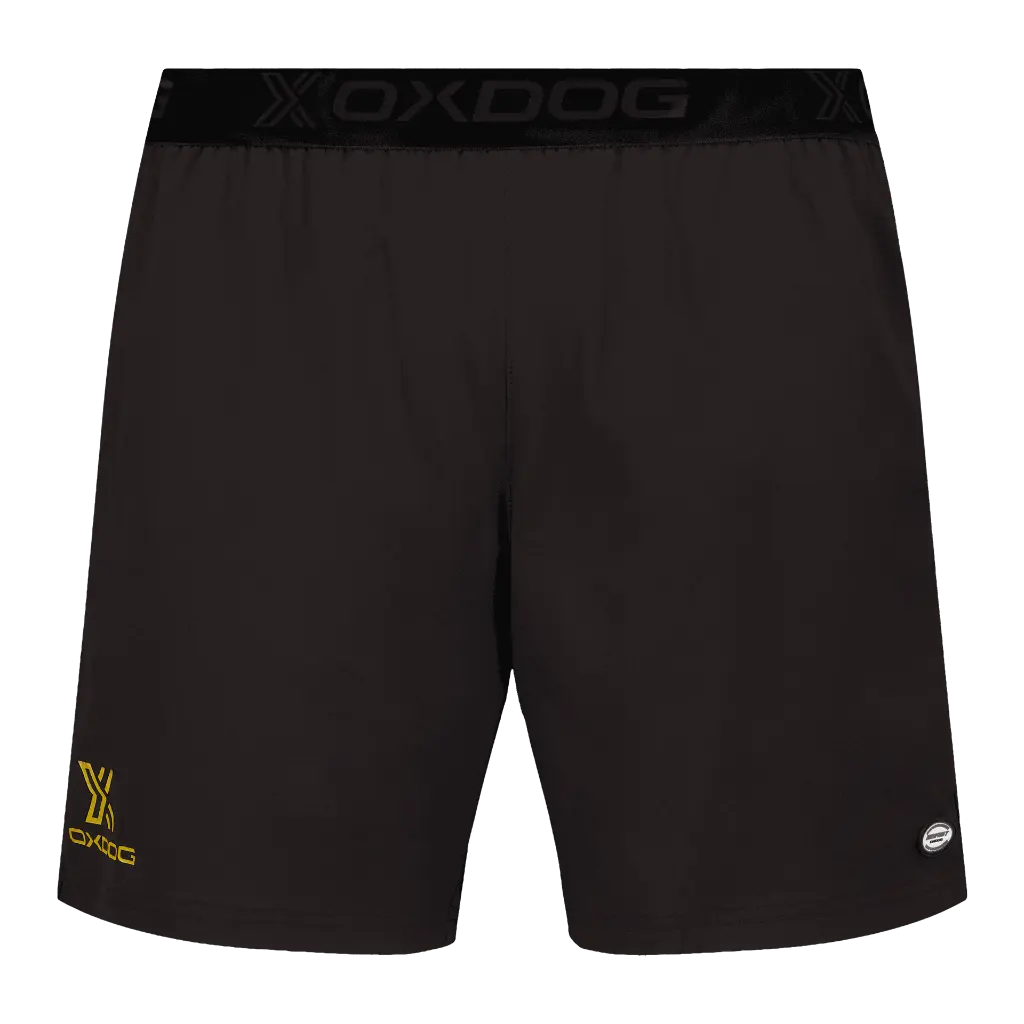 8231906-01 GOLD.webp